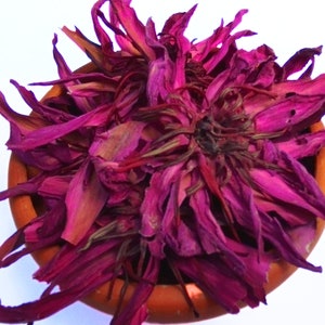 Red Water Lily Flowers Tea | Natural Red lotus Flower Tea | 100% Organic Dried Red Lily Flowers | Pink Lotus Herbal Drink