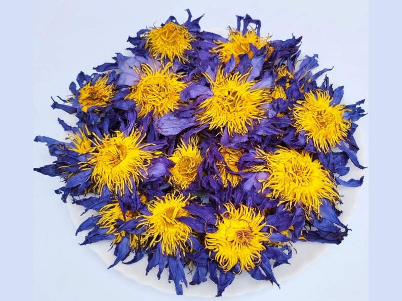 Water Lily Tea, Natural Blue Lotus Water Lily Flowers, Lucid Dream Tea