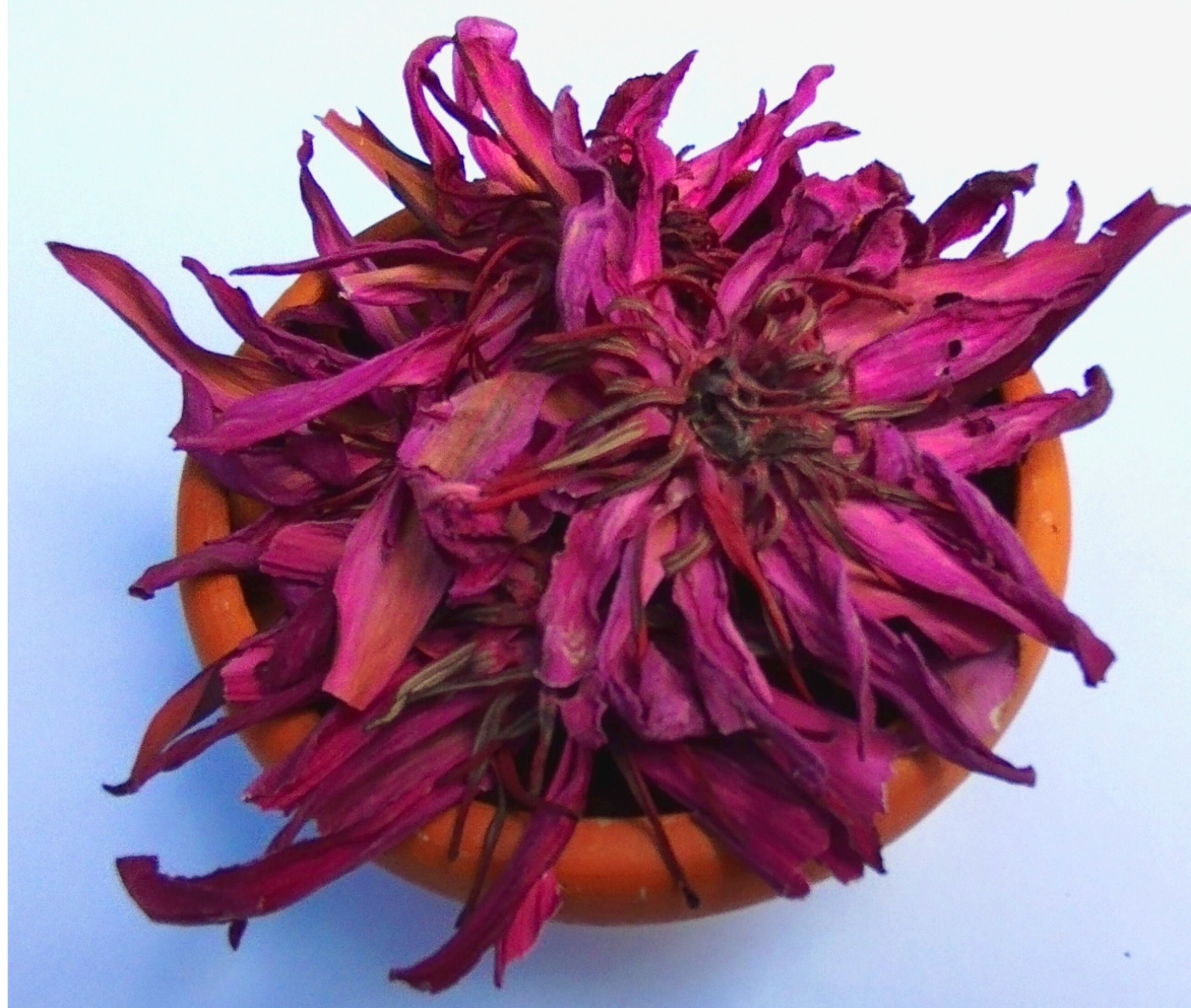 Red Water Lily Flowers Tea Natural Red Lotus Flower Tea Etsy