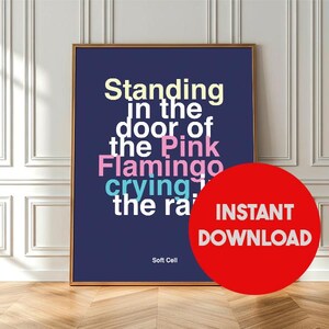 May include: A framed art print with the text "Standing in the door of the Pink Flamingo crying the rain" in various colors on a navy blue background. A red circle with "INSTANT DOWNLOAD" is on the right.