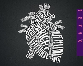 Download Anatomic Heart Svg Etsy
