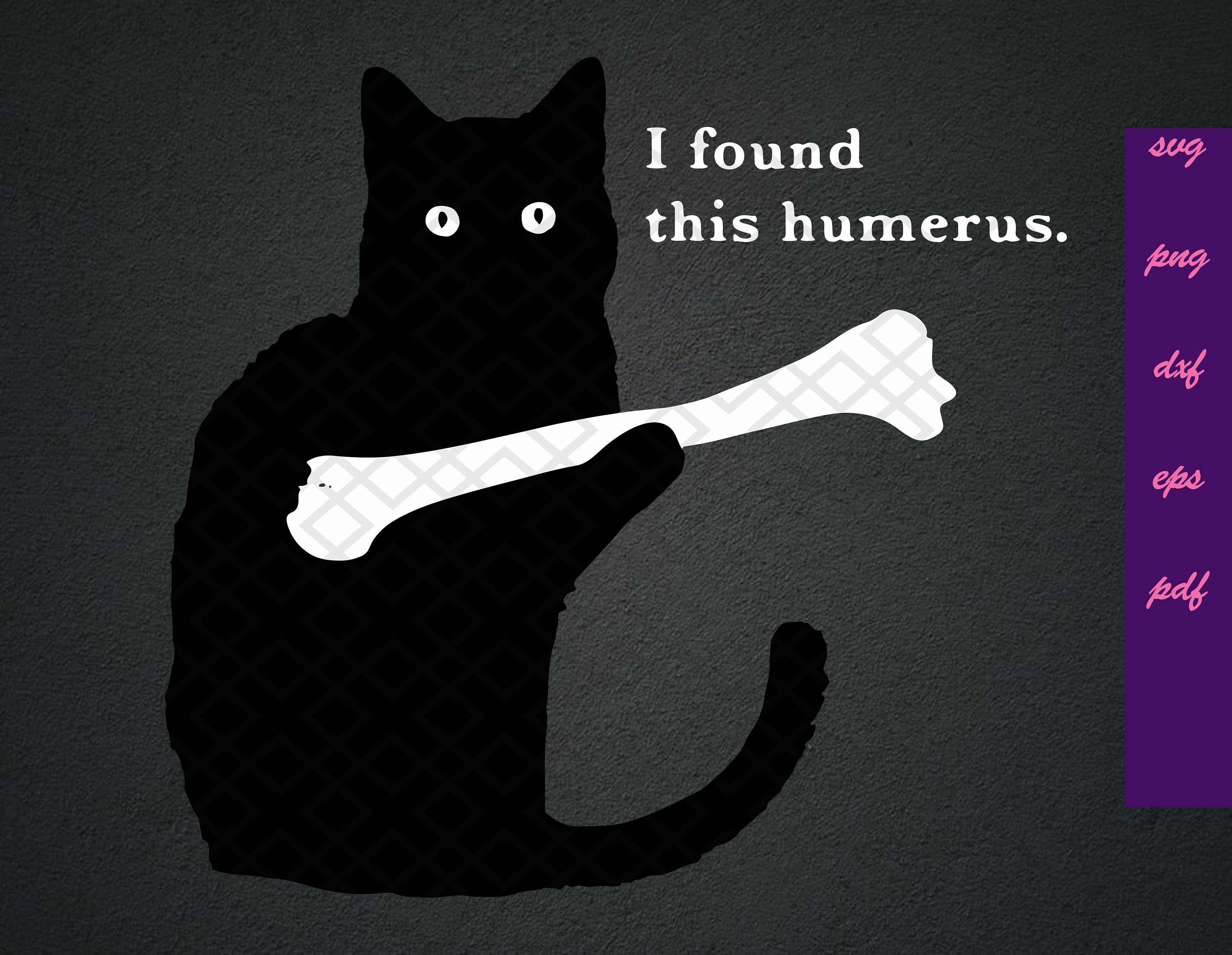 I Found This Humerus Funny Cat Lover Svg Dxf Png Eps Pdf | Etsy
