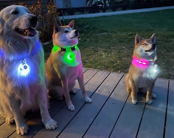 light up dog accessories