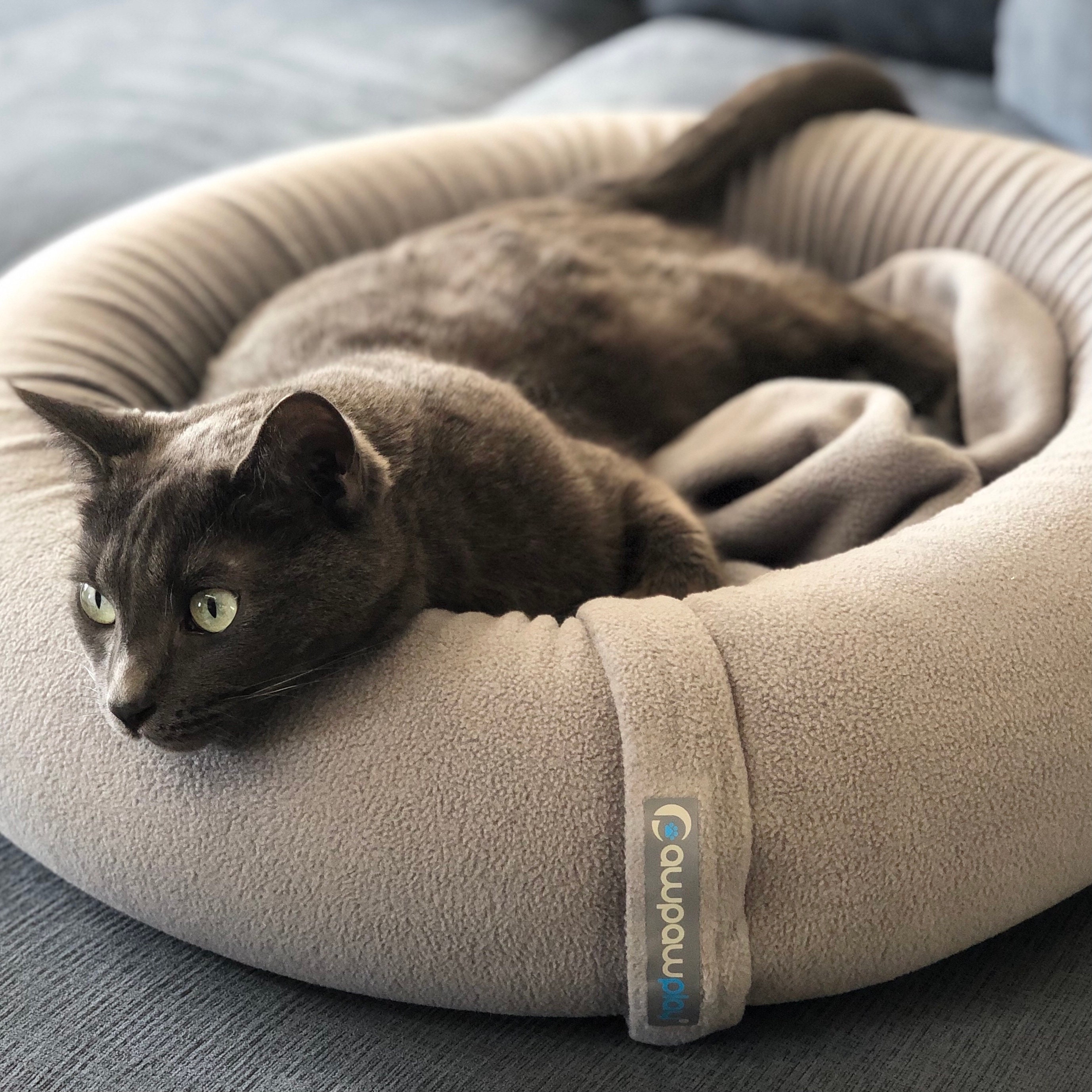 comfy cat bed