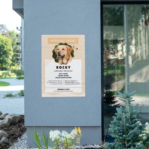 Cartel de perro perdido IMPRIMIBLE, Folleto de perro perdido, Perro perdido, Mascota desaparecida, Cartel de perro imprimible, Plantilla Canva, Personalizable imagen 3