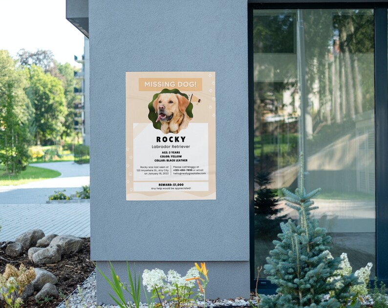 Cartel de perro perdido IMPRIMIBLE, Folleto de perro perdido, Perro perdido, Mascota desaparecida, Cartel de perro imprimible, Plantilla Canva, Personalizable imagen 3