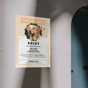 Cartel de perro perdido IMPRIMIBLE, Folleto de perro perdido, Perro perdido, Mascota desaparecida, Cartel de perro imprimible, Plantilla Canva, Personalizable imagen 4