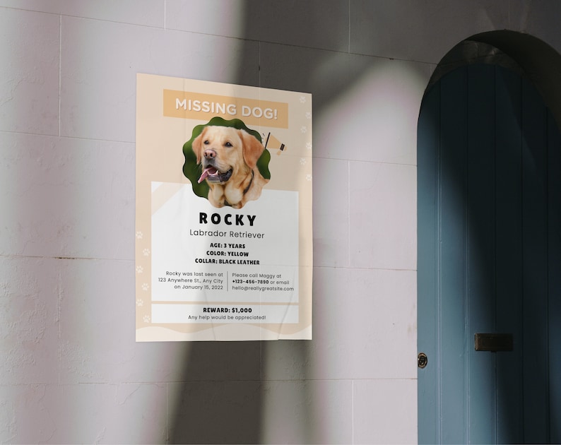 Cartel de perro perdido IMPRIMIBLE, Folleto de perro perdido, Perro perdido, Mascota desaparecida, Cartel de perro imprimible, Plantilla Canva, Personalizable imagen 4