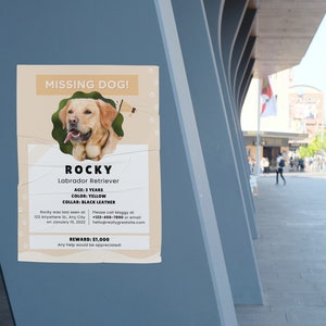 Cartel de perro perdido IMPRIMIBLE, Folleto de perro perdido, Perro perdido, Mascota desaparecida, Cartel de perro imprimible, Plantilla Canva, Personalizable imagen 5