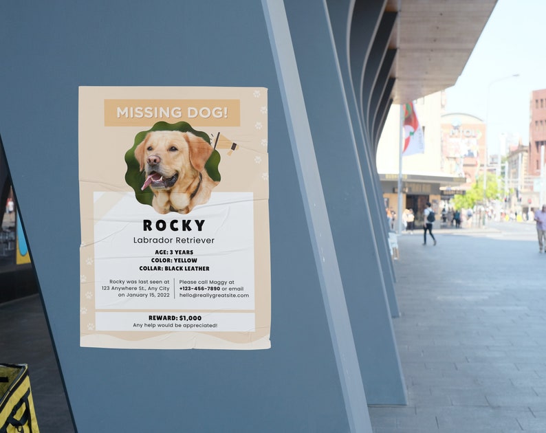 Cartel de perro perdido IMPRIMIBLE, Folleto de perro perdido, Perro perdido, Mascota desaparecida, Cartel de perro imprimible, Plantilla Canva, Personalizable imagen 5