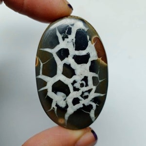 Schöner Septarischer Palmenstein, Natürlicher Schwarzer Septarischer Edelstein, Oval Form Cabochon, Edelstein für die Herstellung von Schmuck, 47x29x6mm 85,20 Karat