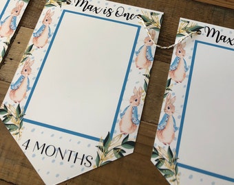 Peter Rabbit 1st Birthday Monthly Milestone Bunting