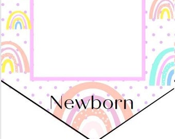 Pastel Rainbow 1st Birthday Monthly Milestone Bunting