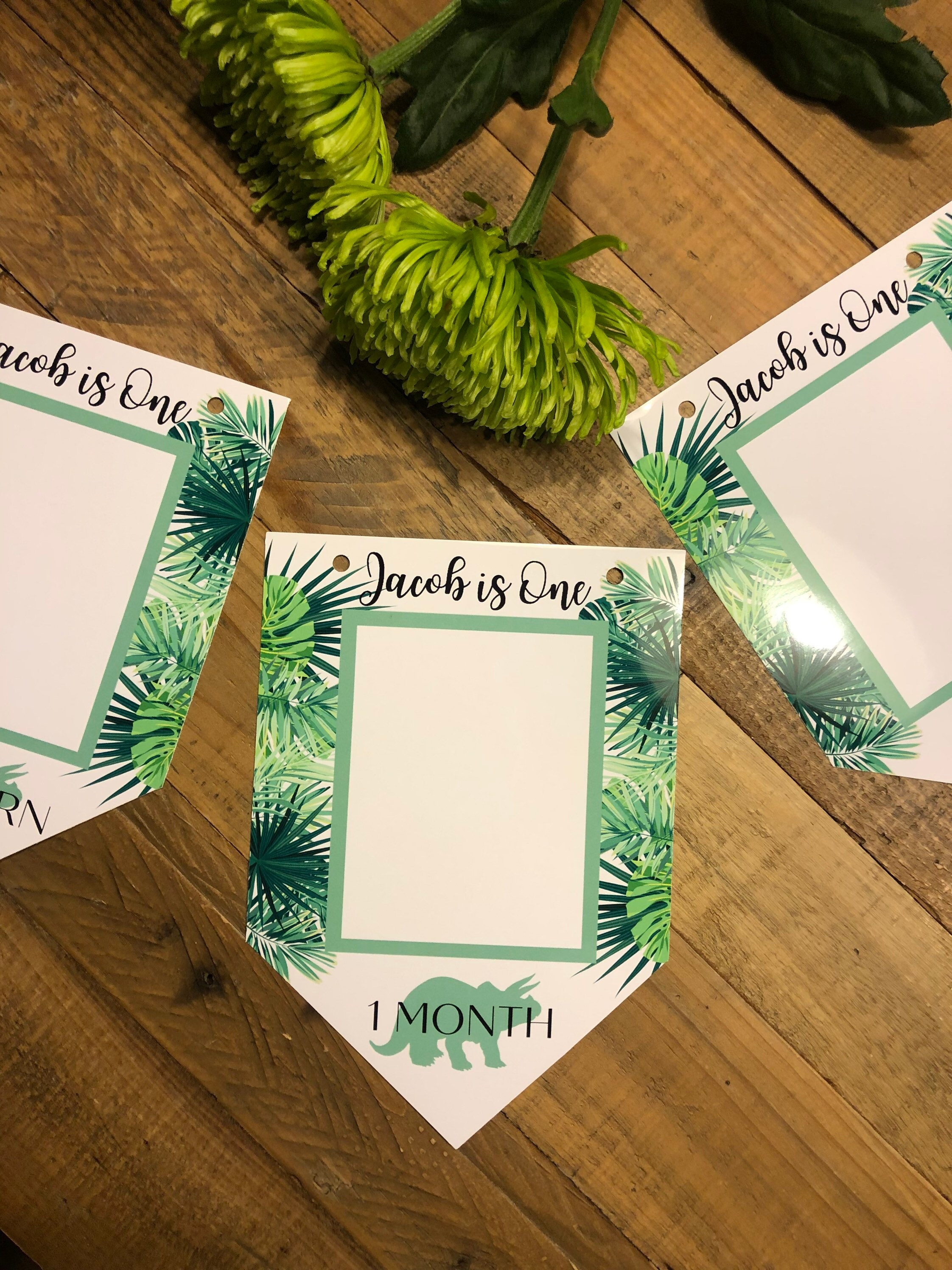 Personalised Dinosaur 1st Birthday Milestone Bunting - Etsy