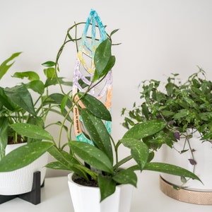 BARE™ Anthrulla™ - Customizable wooden plant support- Inspired by the Anthurium Leaf
