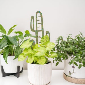BARE™ Cactrella™ - Customizable wooden plant support- Inspired by the Barrel Cactus