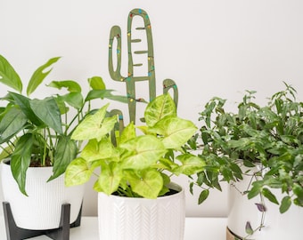 BARE™ Cactrella™ - カスタマイズ可能な木製植物サポート - バレルサボテンにインスパイアされた