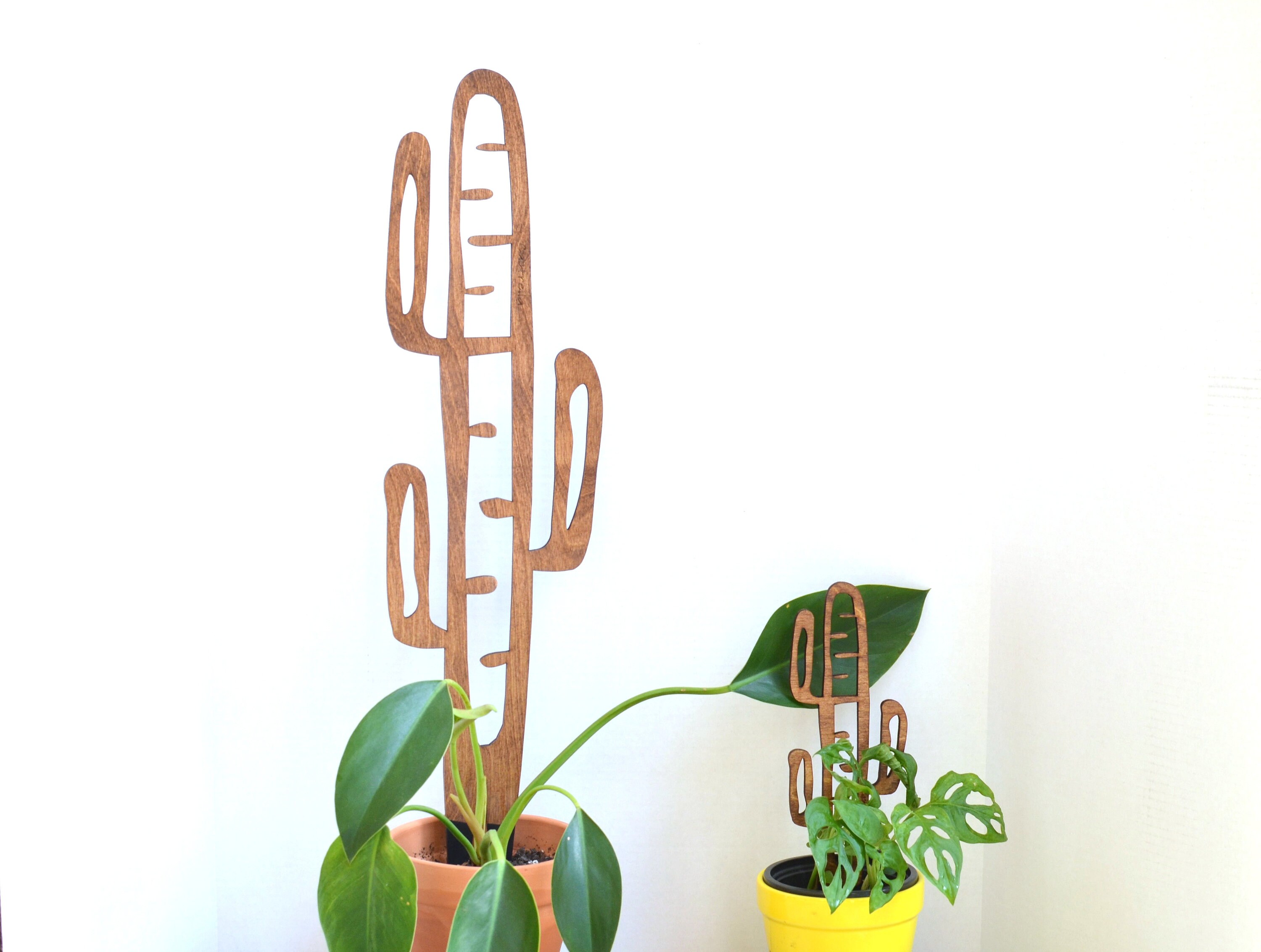 Cactrella - Pflanzengitter inspiriert vom Fass Kaktus - Etsy.de