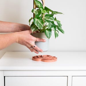 Sausr - Bladvormige potschotel - Lekbak voor kamerplanten - Luchtvochtigheidsbak