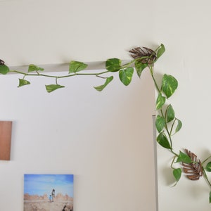 Monstrella- Set of 5- Petite Wall Mounted Trellis image 7