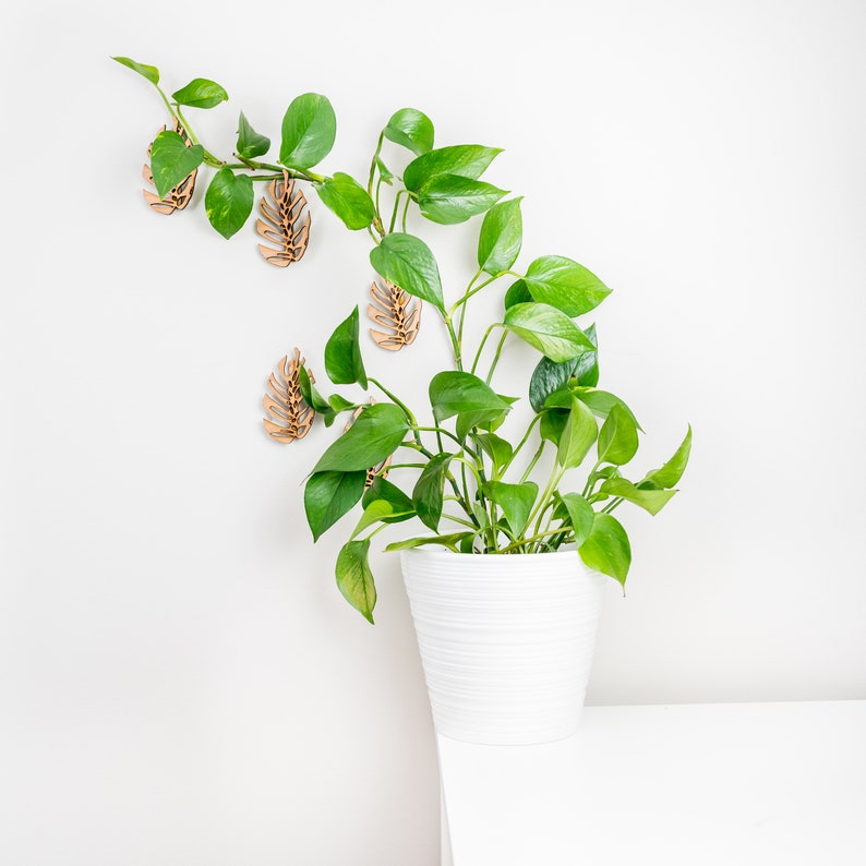 Monstrella- Set of 5- Petite Wall Mounted Trellis image 10