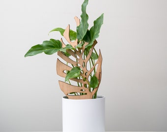 Monstrella - Plant trellis inspired by the Monstera Leaf