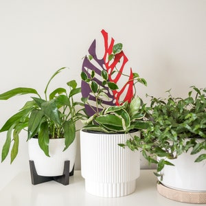 BARE™ Monstrella™ - Customizable wooden plant trellis - Monstera leaf shape - Beautiful Stakes for houseplants - 1 ft/ 2 ft tall