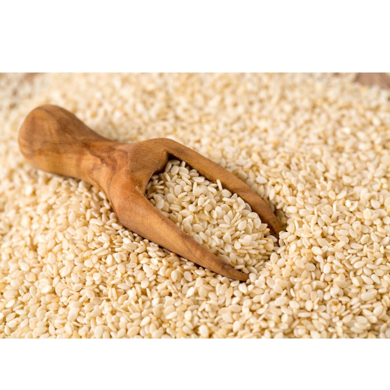 Organic Whole Sesame Seeds White Bulk Natural Spice Jungle/ Etsy