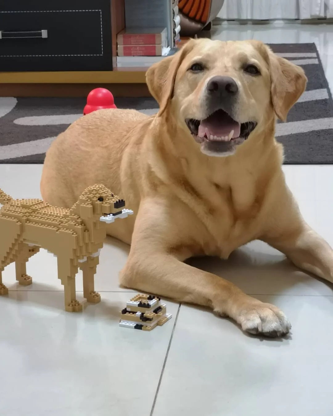 Labrador Retriever Dog Sculptures | 3D Building Blocks | DIY Model Kit ...