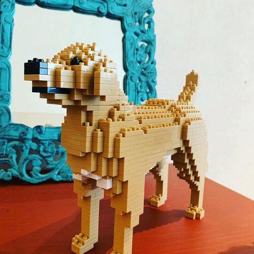 Labrador Retriever Dog Sculptures | 3D Building Blocks | DIY Model Kit ...