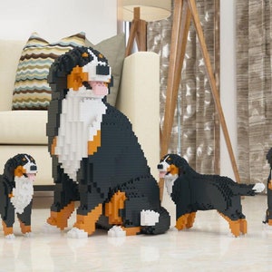 Sculture di cani da montagna bernesi / Blocchi da costruzione 3D / Kit modello fai da te