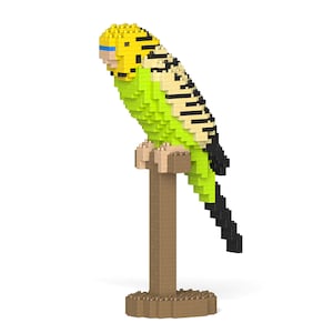 May include: A green and yellow parakeet with black stripes on its wings, perched on a brown wooden stand. The parakeet has a yellow head and a blue beak.