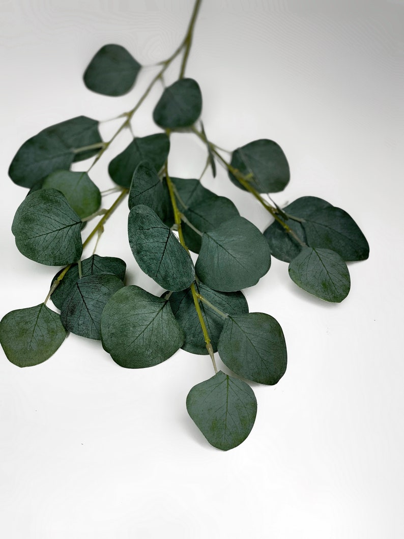 Eucalyptus Stem Artificial Eucalyptus Stem Faux Eucalyptus Etsy