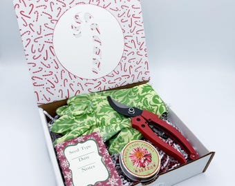 Candy Cane Zinnia Seed Kit: Gardening Gift Box