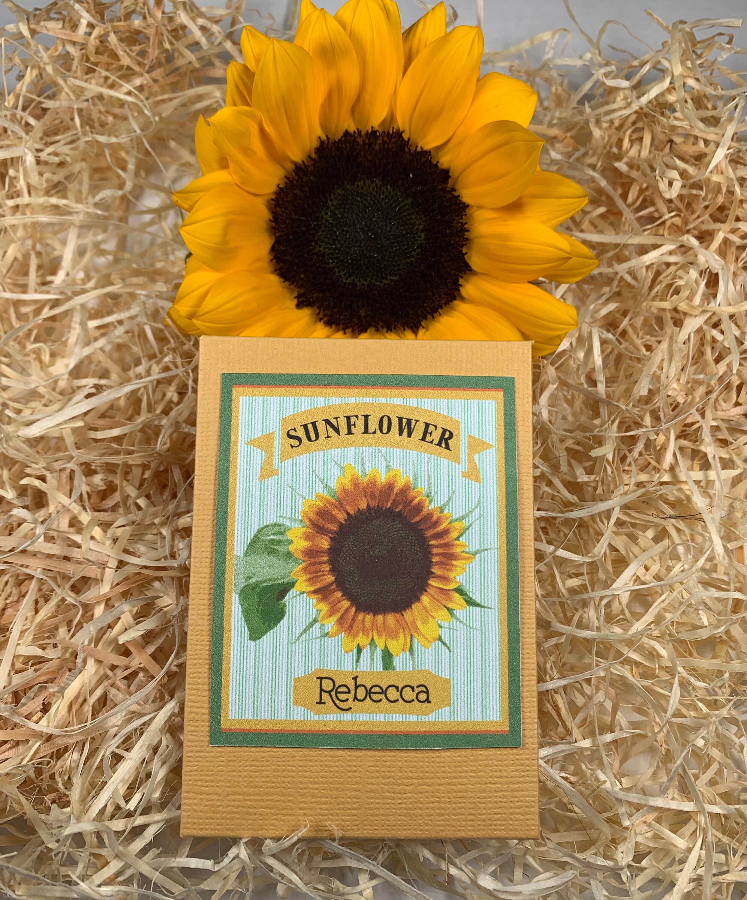 Sunflower Seed Packet party favor gardening gift Etsy