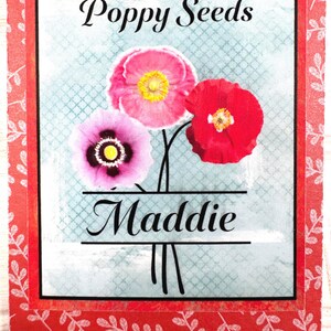 May include: A seed packet featuring three poppy flowers in shades of pink and red, with yellow centers, against a light blue background. The text "Poppy Seeds" and "Maddie" are displayed in elegant black script.