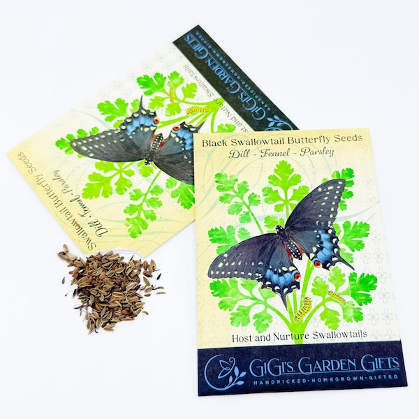 Swallowtail Garden Seeds - Etsy