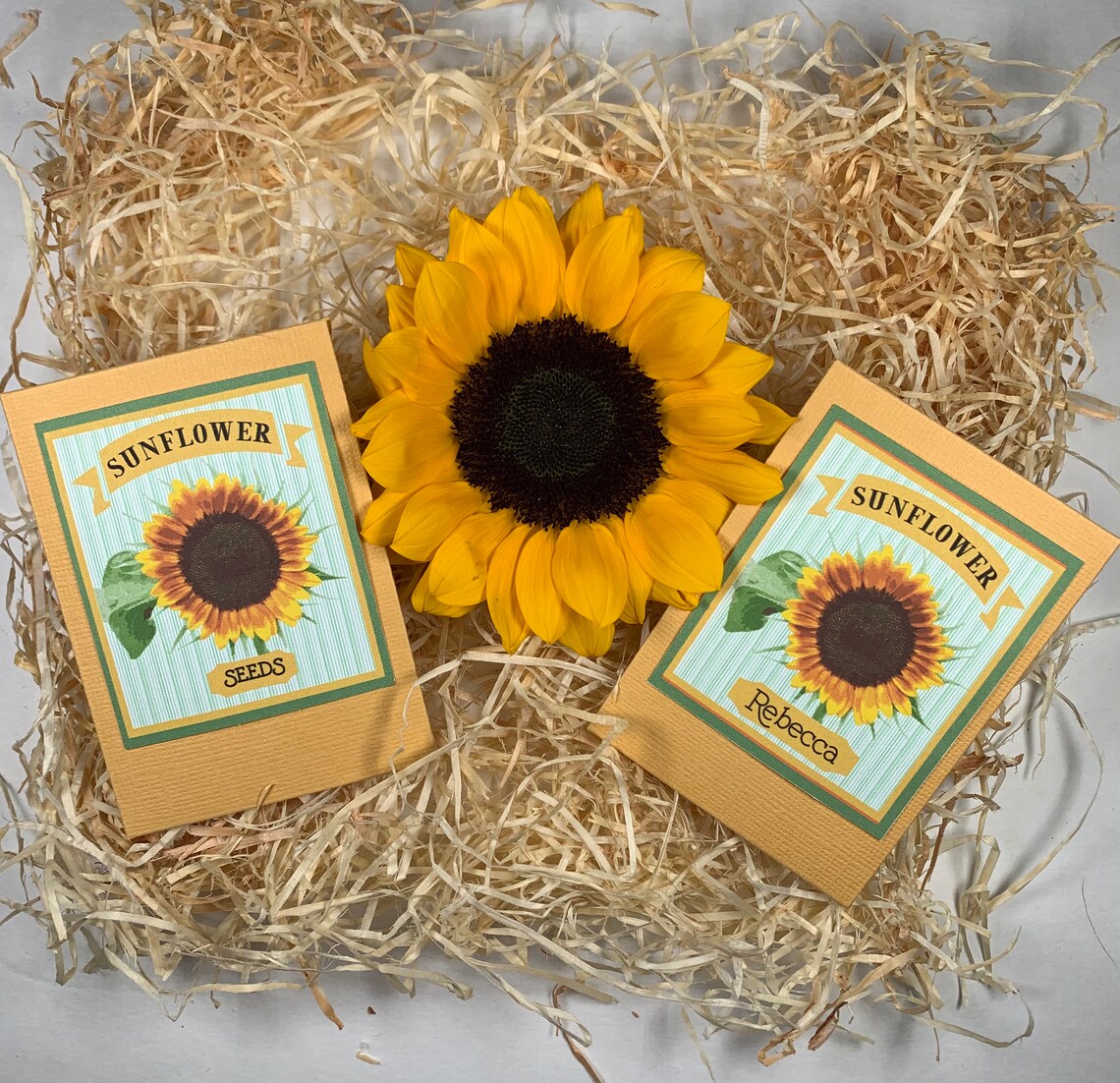 Sunflower Seed Packet party favor gardening gift Etsy
