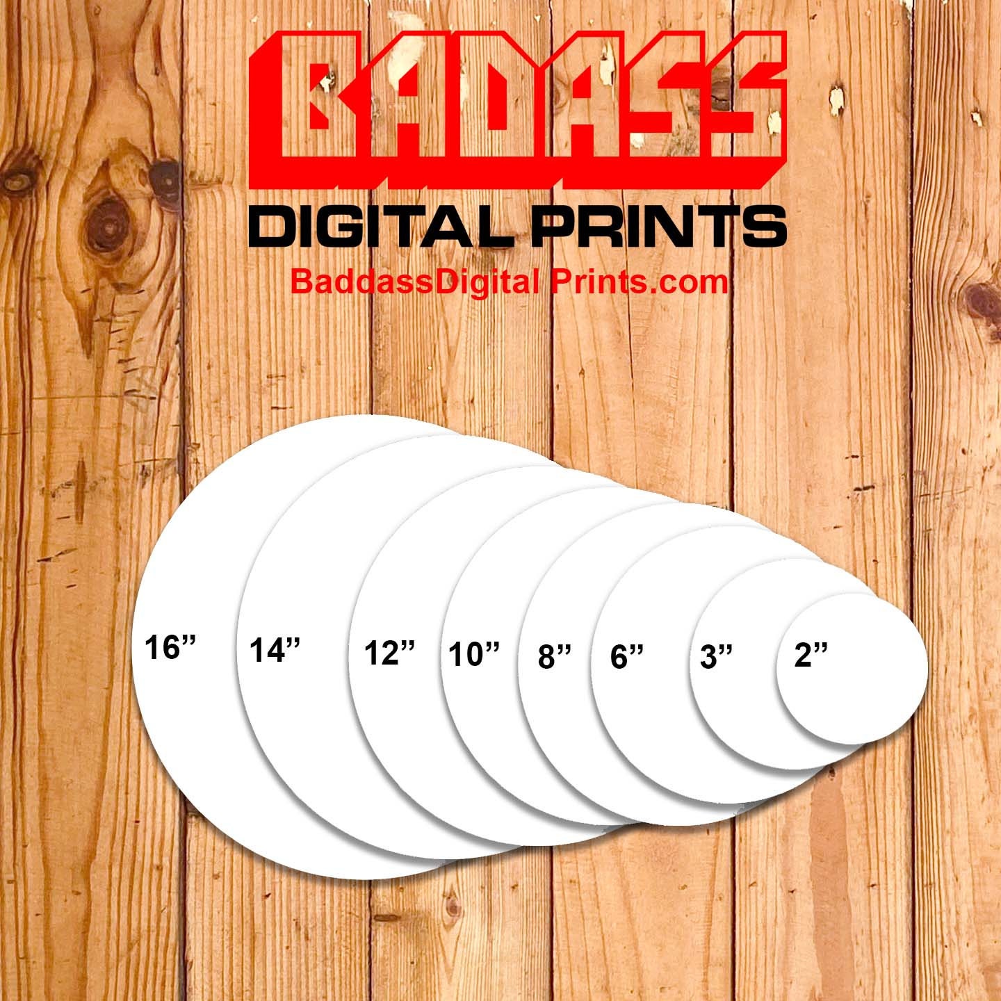 6 Inch x 3 Inch 10 Pack Sublimation License Plate Blanks,Heat