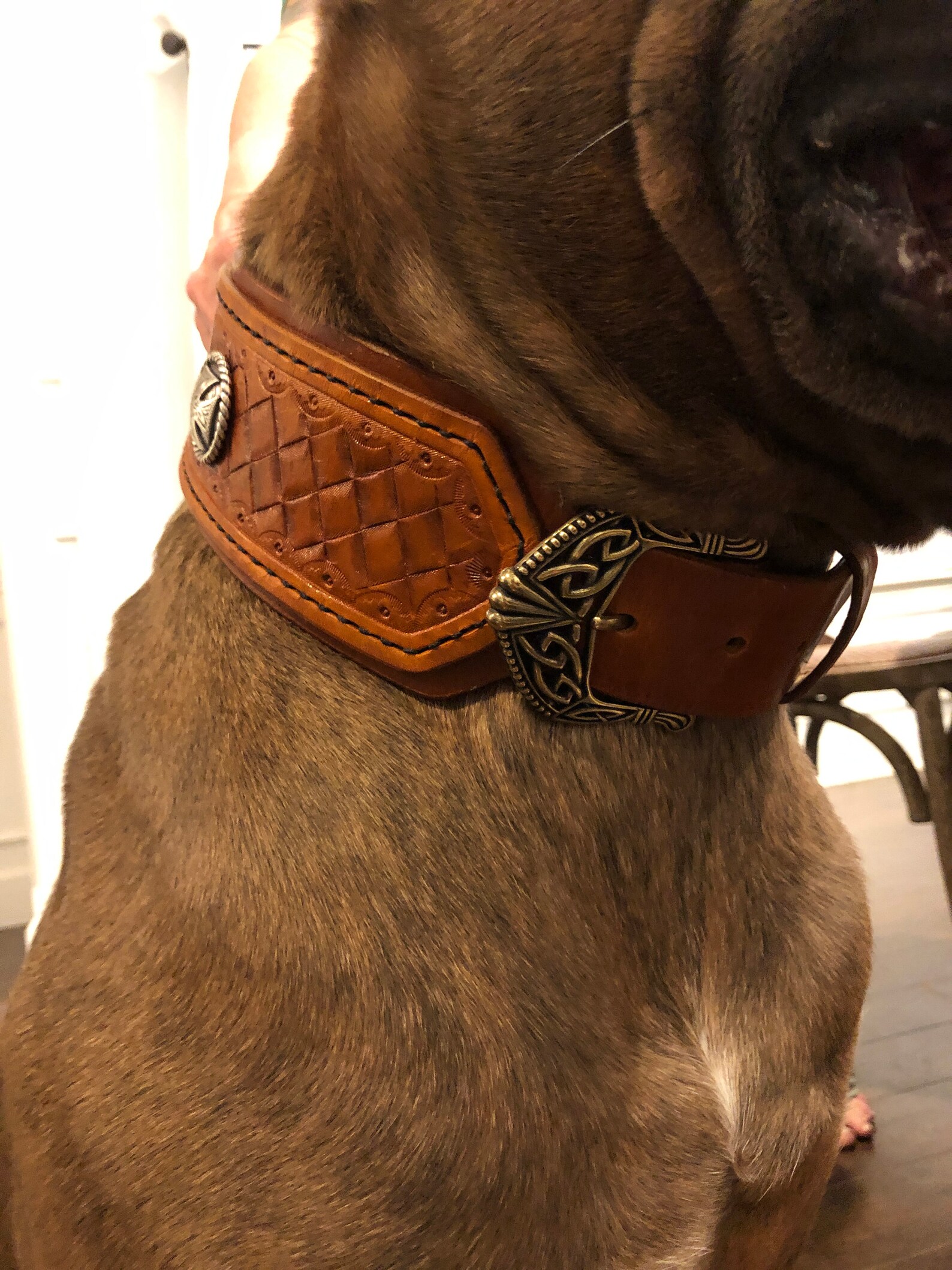 Medium Leather tooled handstitched Dog Collar Etsy
