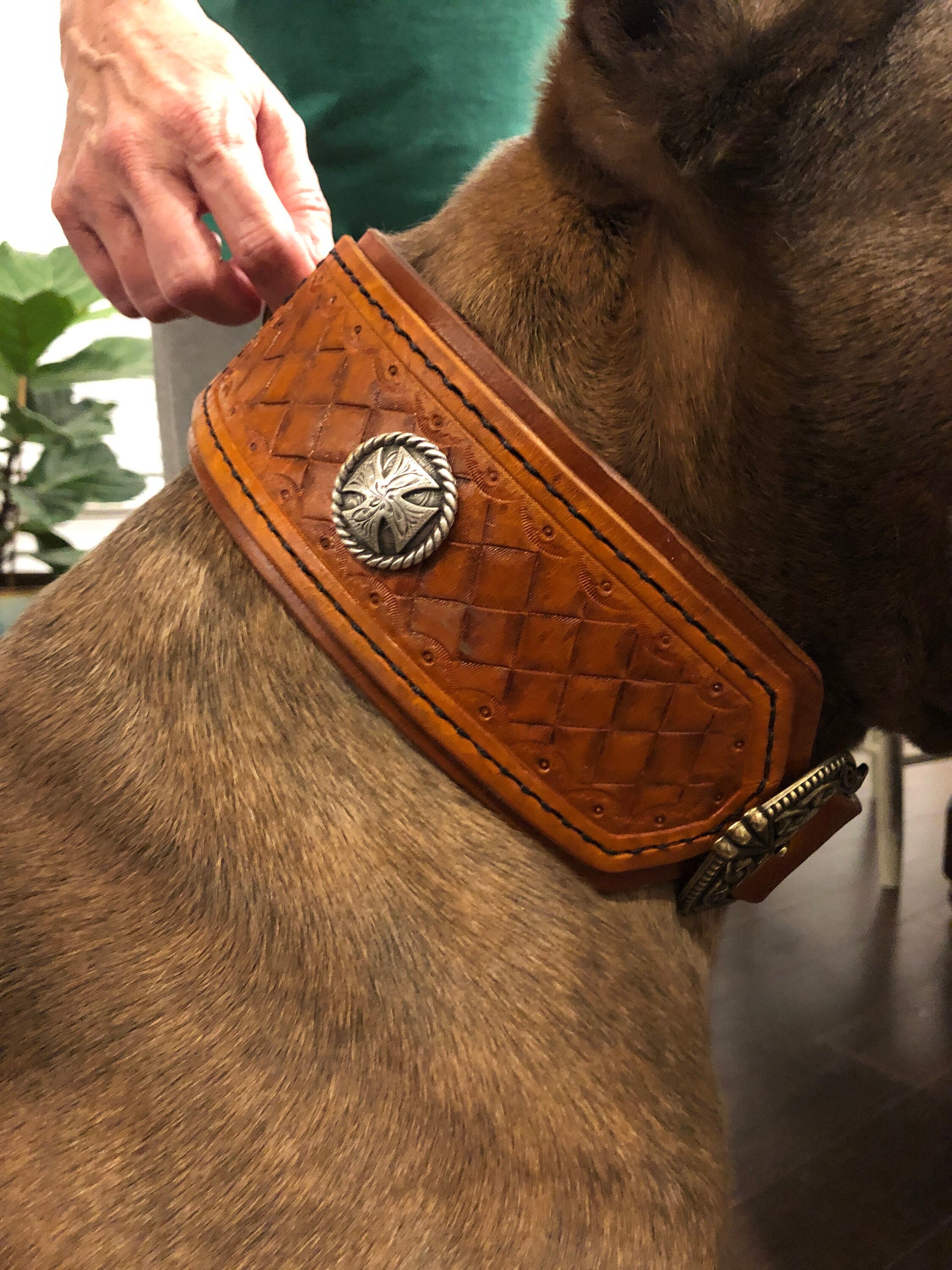Medium Leather tooled handstitched Dog Collar Etsy