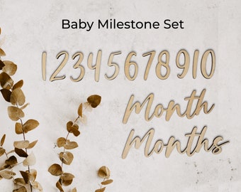 Baby Monthly Milestone Marker Set / New Mom Gift / Baby Age Photo Prop / Baby Shower Gift / Photoshoot Prop / Newborn Gift / Keepsake