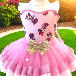 Rosa Maus Tutu und Top Geburtstag