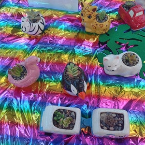 May include: A collection of small succulent plants in various ceramic pots, including a zebra, a flamingo, a penguin, a cat, a truck, and a cheetah. The pots are displayed on a rainbow iridescent tablecloth.