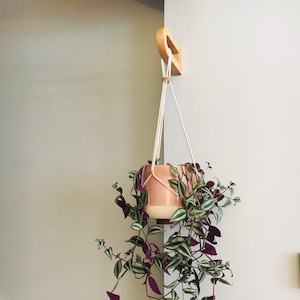 May include: A pink and white ceramic planter with a trailing green and purple plant hanging from a wooden hook.