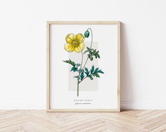 Welsh Poppy Printable Botanical | Outline Vintage Watercolour Print | Minimalistic Art | Floral Watercolour Poster | Home Decor