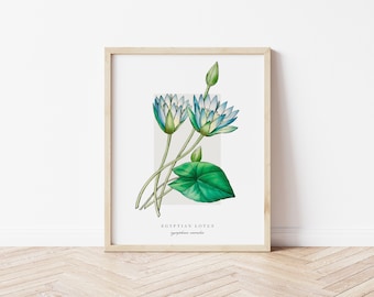 Egyptian Lotus Printable Botanical | Outline Vintage Watercolour Print | Minimalistic Art | Floral Watercolour Poster | Home Decor