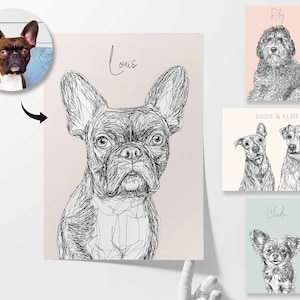 May include: A black and white line drawing of a French Bulldog named Louis. The drawing is on a light pink background.