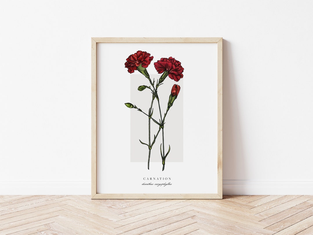 Carnation Printable Botanical | Outline Vintage Watercolour Print ...