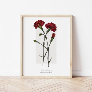 Carnation Printable Botanical | Outline Vintage Watercolour Print | Minimalistic Art | Floral Watercolour Poster | Home Decor